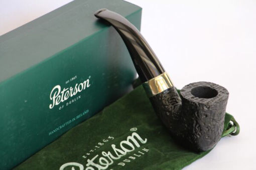 Peterson  Bent  Dublin sand 2017-05